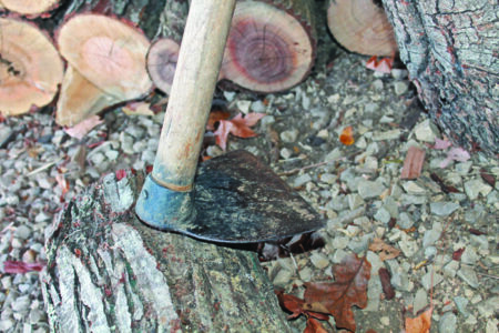 the head of a grubbing hoe on top of a log